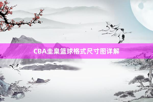 CBA圭臬篮球格式尺寸图详解